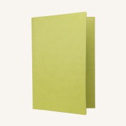 Envelope Folder – Light Green